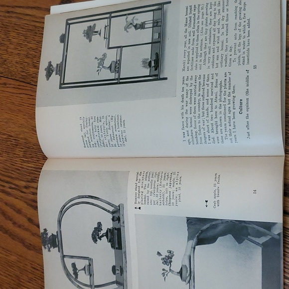Vtg 1950s Brooklyn Botanic Garden Handbooks - Picture 8 of 16
